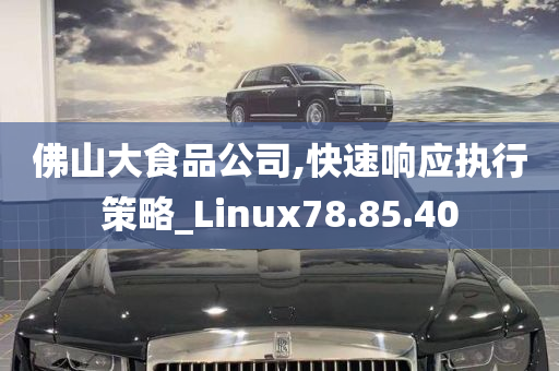 佛山大食品公司,快速响应执行策略_Linux78.85.40