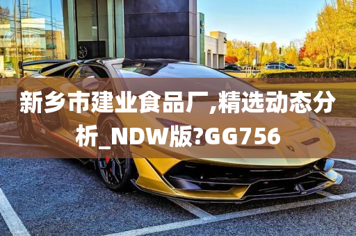 新乡市建业食品厂,精选动态分析_NDW版?GG756