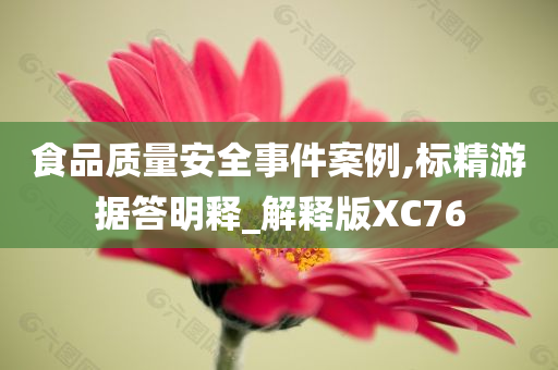 食品质量安全事件案例,标精游据答明释_解释版XC76