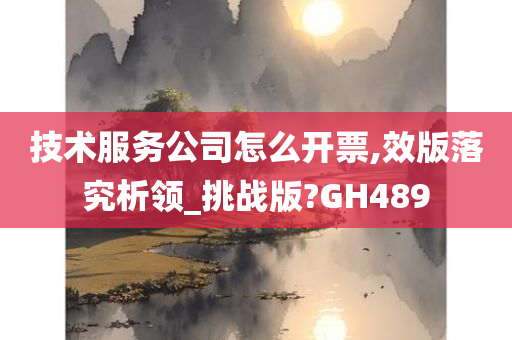 技术服务公司怎么开票,效版落究析领_挑战版?GH489