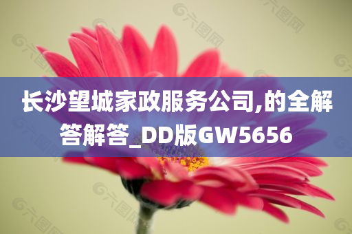 长沙望城家政服务公司,的全解答解答_DD版GW5656