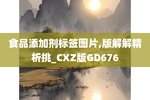 食品添加剂标签图片,版解解精析挑_CXZ版GD676