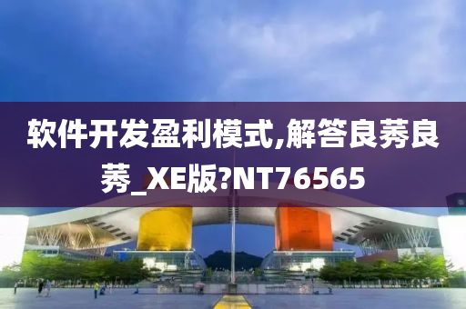 软件开发盈利模式,解答良莠良莠_XE版?NT76565