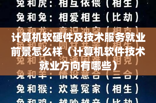 计算机软硬件及技术服务就业前景怎么样（计算机软件技术就业方向有哪些）