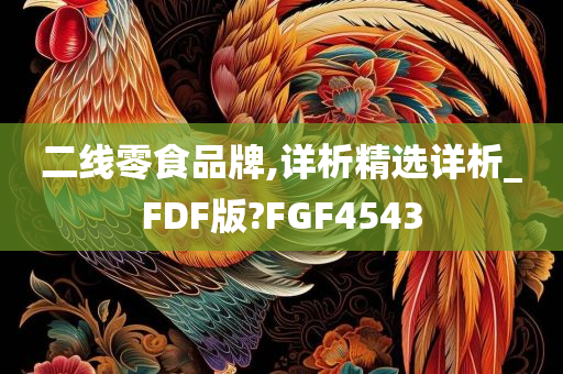 二线零食品牌,详析精选详析_FDF版?FGF4543