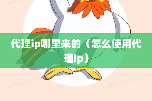 代理ip哪里来的（怎么使用代理ip）