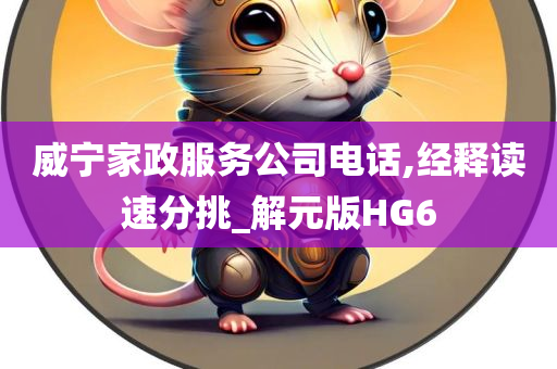 威宁家政服务公司电话,经释读速分挑_解元版HG6