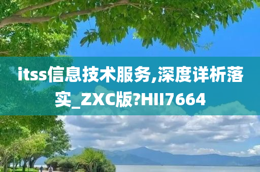 itss信息技术服务,深度详析落实_ZXC版?HII7664