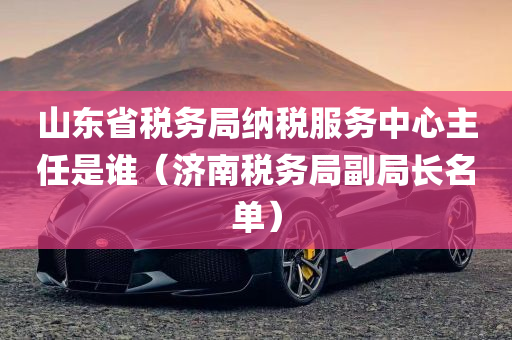 山东省税务局纳税服务中心主任是谁（济南税务局副局长名单）