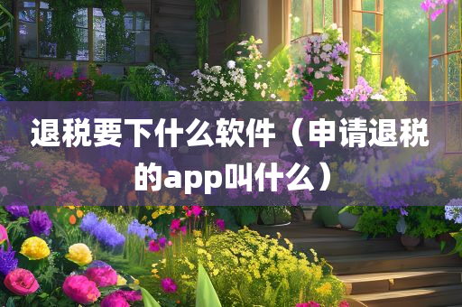 退税要下什么软件（申请退税的app叫什么）