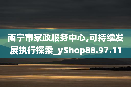 南宁市家政服务中心,可持续发展执行探索_yShop88.97.11