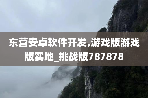 东营安卓软件开发,游戏版游戏版实地_挑战版787878