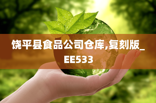 饶平县食品公司仓库,复刻版_EE533