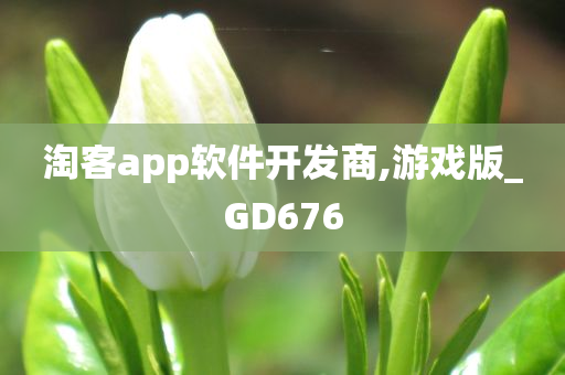 淘客app软件开发商,游戏版_GD676