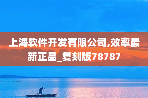 上海软件开发有限公司,效率最新正品_复刻版78787