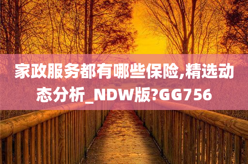 家政服务都有哪些保险,精选动态分析_NDW版?GG756