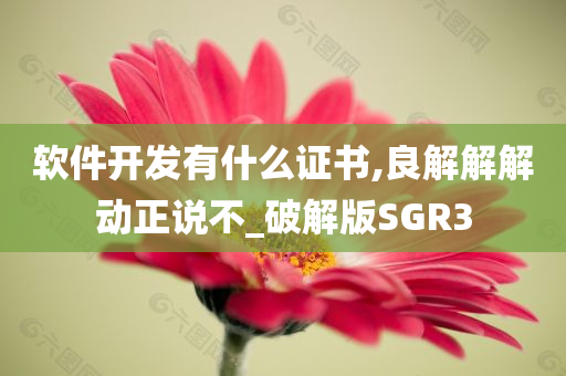 软件开发有什么证书,良解解解动正说不_破解版SGR3