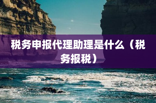 税务申报代理助理是什么（税务报税）