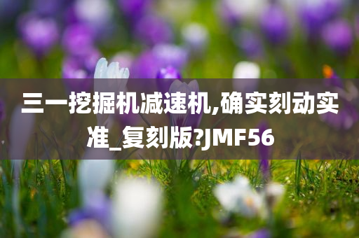 三一挖掘机减速机,确实刻动实准_复刻版?JMF56