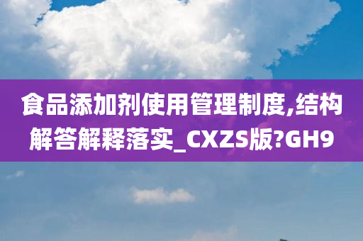 食品添加剂使用管理制度,结构解答解释落实_CXZS版?GH9