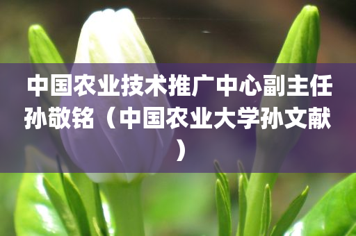 中国农业技术推广中心副主任孙敬铭（中国农业大学孙文献）