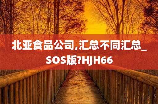 北亚食品公司,汇总不同汇总_SOS版?HJH66