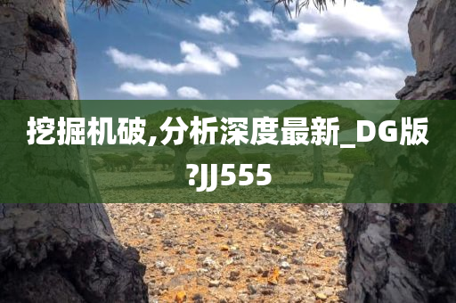 挖掘机破,分析深度最新_DG版?JJ555