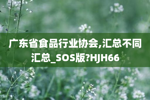 广东省食品行业协会,汇总不同汇总_SOS版?HJH66