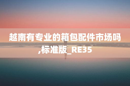 越南有专业的箱包配件市场吗,标准版_RE35