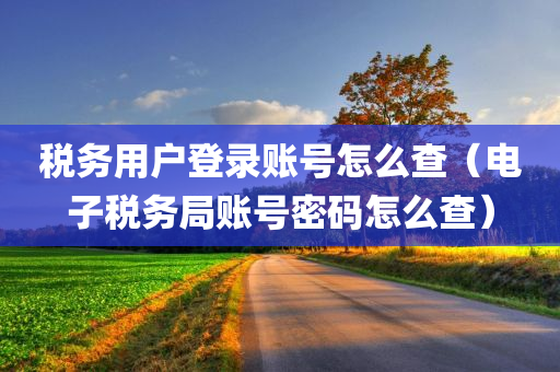 税务用户登录账号怎么查（电子税务局账号密码怎么查）