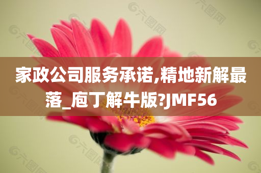 家政公司服务承诺,精地新解最落_庖丁解牛版?JMF56