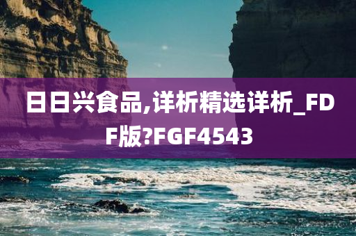 日日兴食品,详析精选详析_FDF版?FGF4543