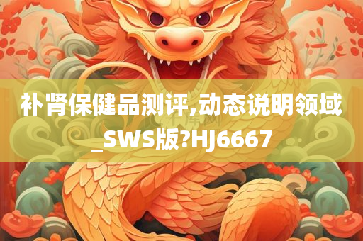 补肾保健品测评,动态说明领域_SWS版?HJ6667