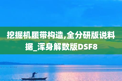 挖掘机履带构造,全分研版说料据_浑身解数版DSF8