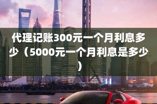 代理记账300元一个月利息多少（5000元一个月利息是多少）