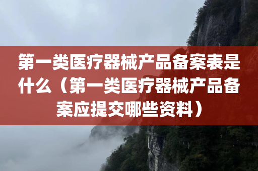 第一类医疗器械产品备案表是什么（第一类医疗器械产品备案应提交哪些资料）