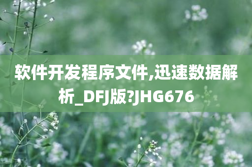 软件开发程序文件,迅速数据解析_DFJ版?JHG676