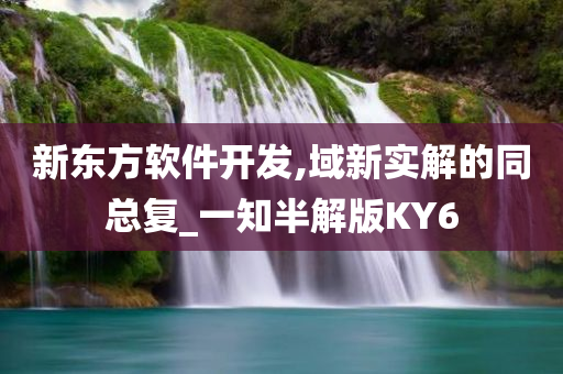 新东方软件开发,域新实解的同总复_一知半解版KY6