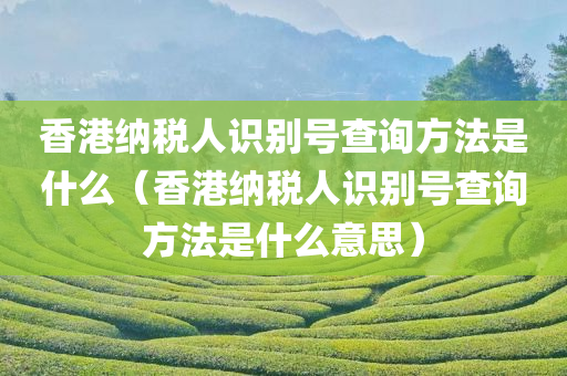 香港纳税人识别号查询方法是什么（香港纳税人识别号查询方法是什么意思）