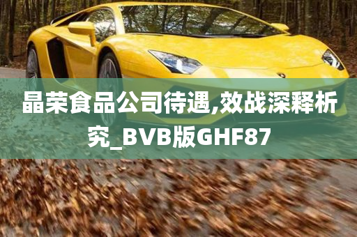 晶荣食品公司待遇,效战深释析究_BVB版GHF87