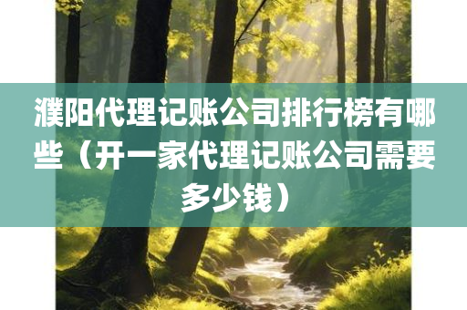 濮阳代理记账公司排行榜有哪些（开一家代理记账公司需要多少钱）