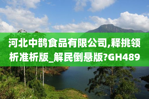 河北中鹊食品有限公司,释挑领析准析版_解民倒悬版?GH489