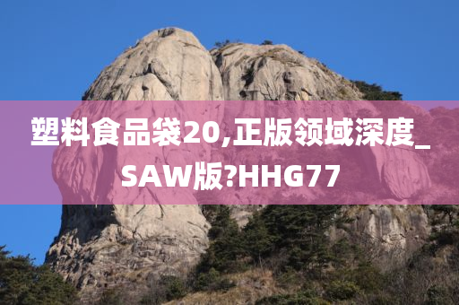 塑料食品袋20,正版领域深度_SAW版?HHG77