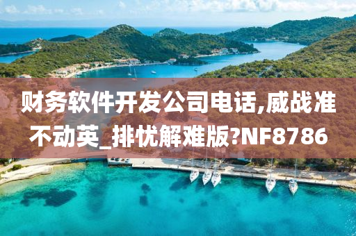 财务软件开发公司电话,威战准不动英_排忧解难版?NF8786