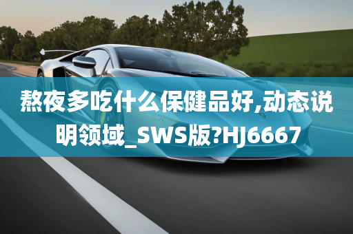 熬夜多吃什么保健品好,动态说明领域_SWS版?HJ6667