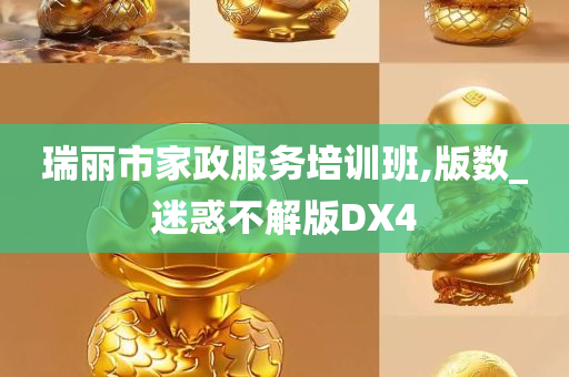 瑞丽市家政服务培训班,版数_迷惑不解版DX4