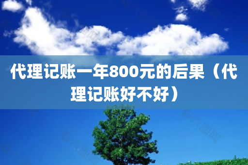 代理记账一年800元的后果（代理记账好不好）