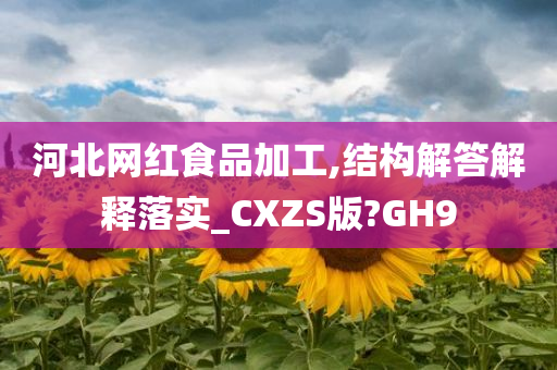 河北网红食品加工,结构解答解释落实_CXZS版?GH9