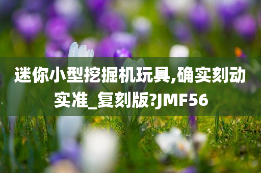 迷你小型挖掘机玩具,确实刻动实准_复刻版?JMF56