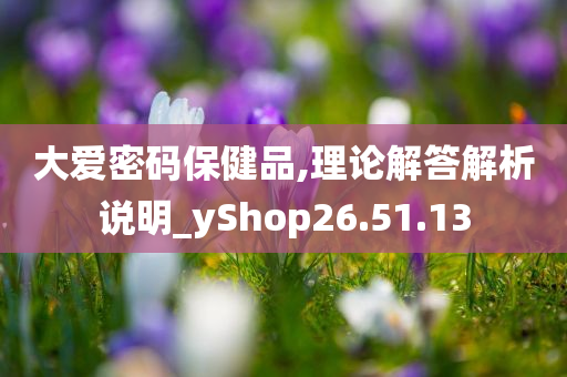 大爱密码保健品,理论解答解析说明_yShop26.51.13